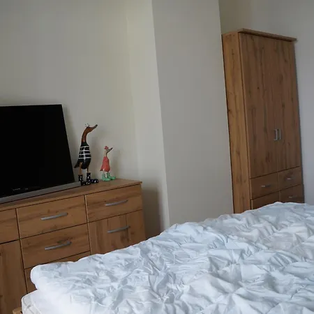 Haus Quisisana 45496